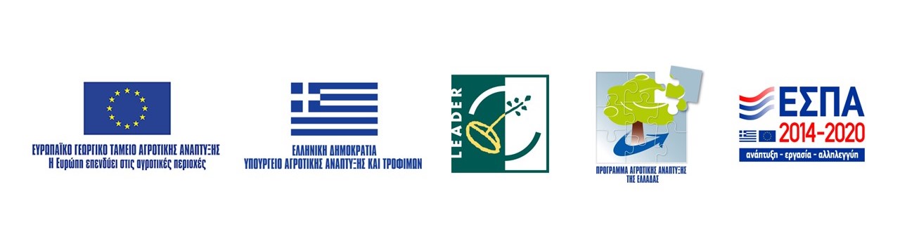 logo χρηματοδότησης